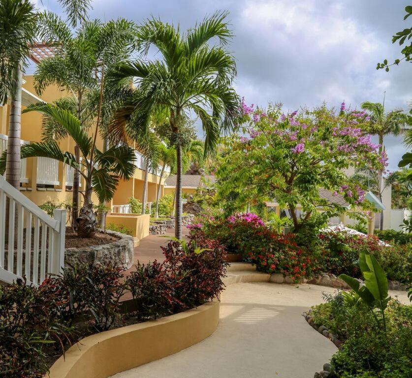 Ocean Terrace Inn Hotel Basseterre Exterior foto